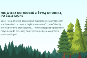 Green and White Spruce Forest Nature Group Project Presentation